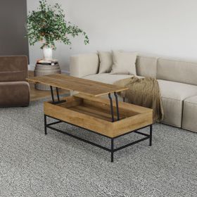 T1105-01 Natural Lift Top Coffee Table